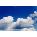 Mallipala Rebel Walls Happy Cloud (REBR11161)