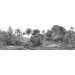 Mallipala Rebel Walls Jungle Land (REBR14612)