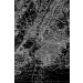 Mallipala Rebel Walls Map of NY (REBR10903)