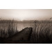 Mallipala Rebel Walls Misty Lake (REBR13581)