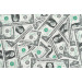 Mallipala Rebel Walls One Dollar (REBR10461)