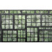 Mallipala Rebel Walls Perspective Jardin Noir (REBR14372)