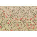 Mallipala Rebel Walls Poppies (REBR16391)