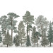 Mallipala Rebel Walls Scandinavian Bellewood Frost (REBR17202)