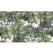 Mallipala Rebel Walls Secret Garden Lush (REBR14703)