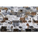 Mallipala Rebel Walls Slurry Wall (REBR14831)
