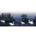 Mallipala Rebel Walls Swan Lake Nightfall (REBR16222)