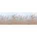 Mallipala Rebel Walls Swaying Reed (REBR13602)
