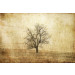Mallipala Rebel Walls The Lonely Tree (REBR12081)