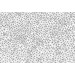 Mallipala Rebel Walls Twinkle Twinkle Black (REBR13512)