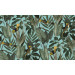 Mallipala Rebel Walls Yellow Bird (REBR15731)