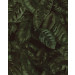 Mallipala Rebel Walls Amazon Fern (REBR17441)