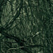 Verde Guatemala