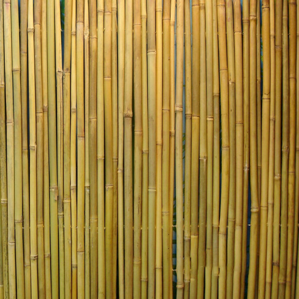 Bambuaita Home4You In Garden, 100x300cm