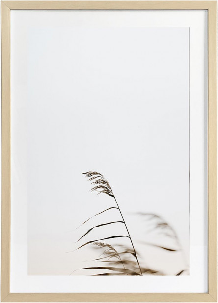 Taulu AmandaB Collection Deco Grass 2, 50x70cm