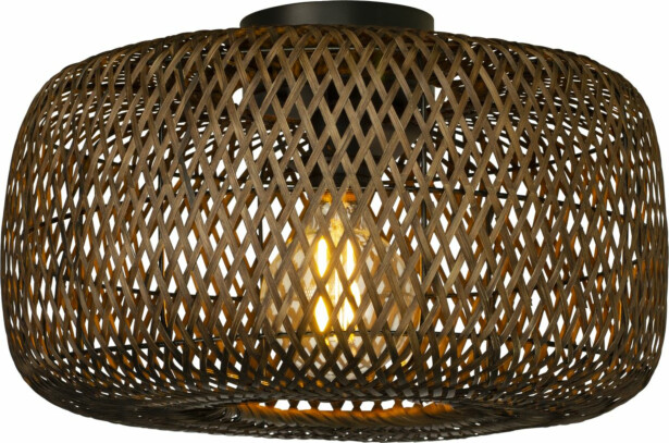 Plafondi Aneta Lighting Savanna, ruskea