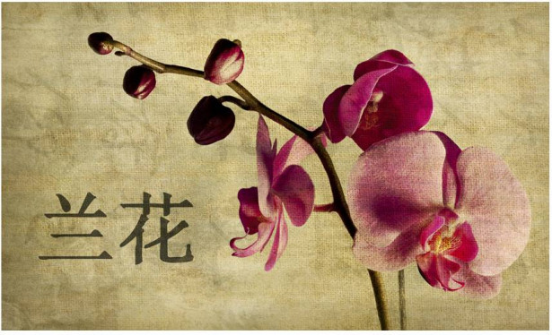 Kuvatapetti Artgeist Japanese orchid, 270x450cm