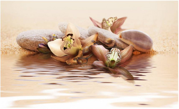 Kuvatapetti Artgeist Beach - water lily, 270x450cm