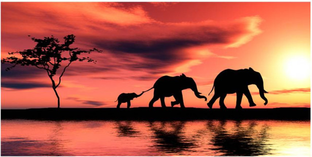 Kuvatapetti Artgeist Elephants: family, 550x270cm