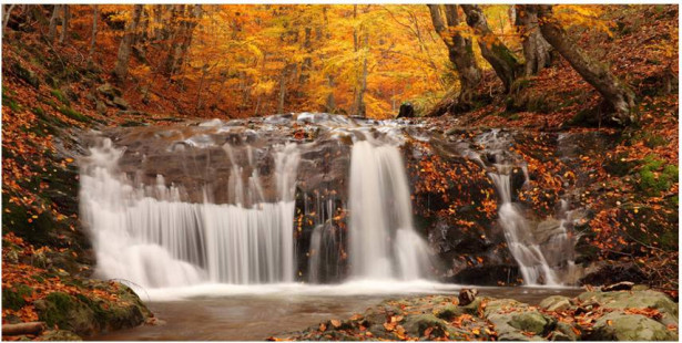Kuvatapetti Artgeist Autumn Landscape: Waterfall in Forest, 550x270cm