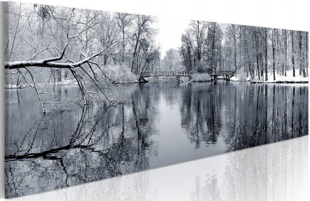 Canvas-taulu Artgeist landscape: winter, eri kokoja