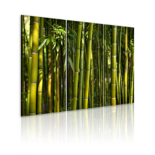 Taulu Artgeist Green bamboo  40x60cm