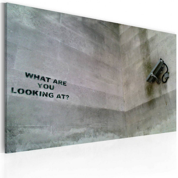 Taulu Artgeist Mitä sinä tuijotat? - Banksy 40x60cm
