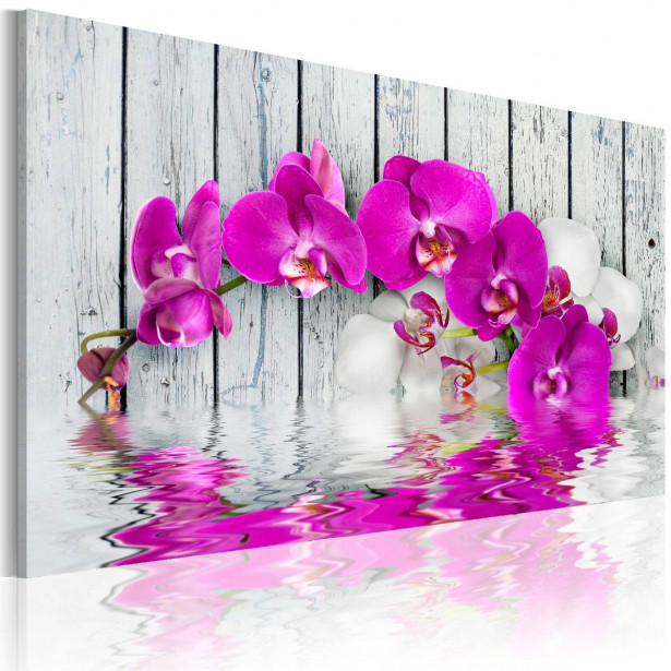 Taulu Artgeist Harmony: Orchid 40x60cm