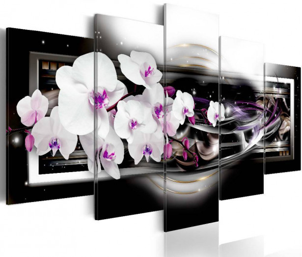 Canvas-taulu Artgeist Orchids on a black background, eri kokoja