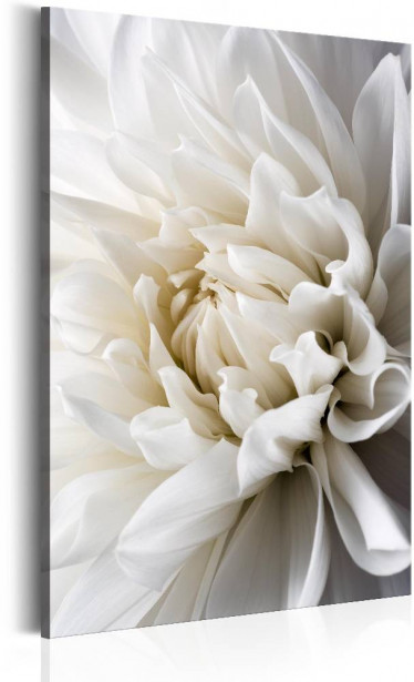 Canvas-taulu Artgeist White Dahlia, eri kokoja