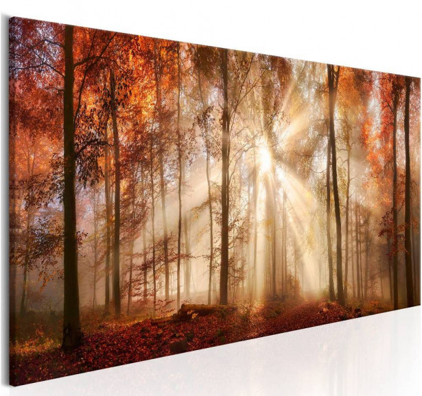 Canvas-taulu Artgeist Autumnal Dawn, eri kokoja