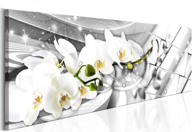 Canvas-taulu Artgeist Twisted Orchids, eri kokoja