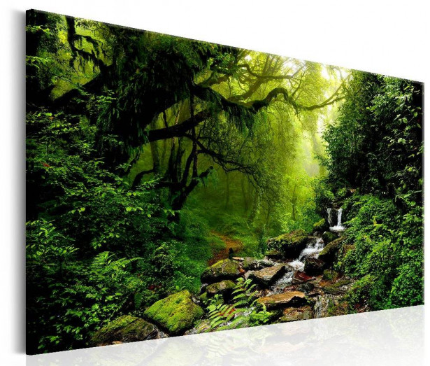Canvas-taulu Artgeist Waterfall in the Forest, eri kokoja