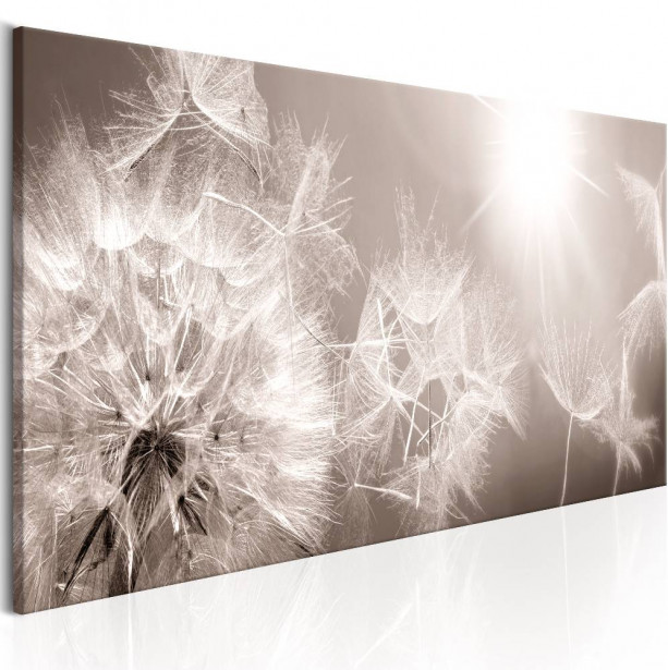 Canvas-taulu Artgeist Summer Dandelions, eri kokoja