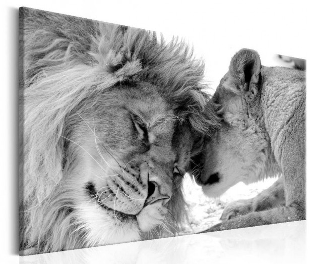 Canvas-taulu Artgeist Lion's Love, eri kokoja