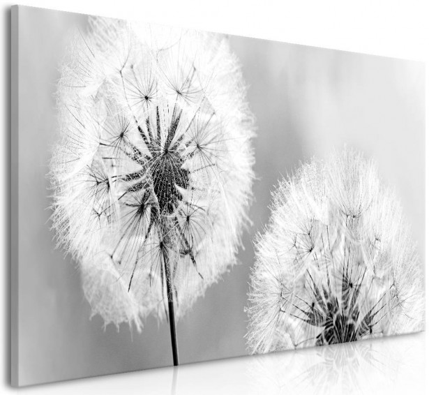 Taulu Artgeist Fluffy Dandelions, 100x45cm