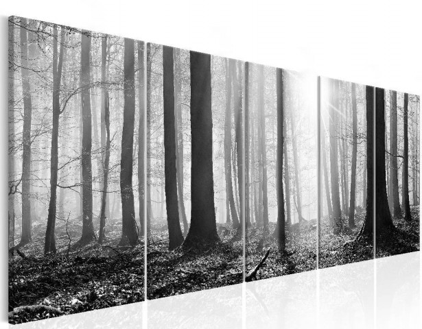Canvas-taulu Artgeist Monochrome Forest, eri kokoja