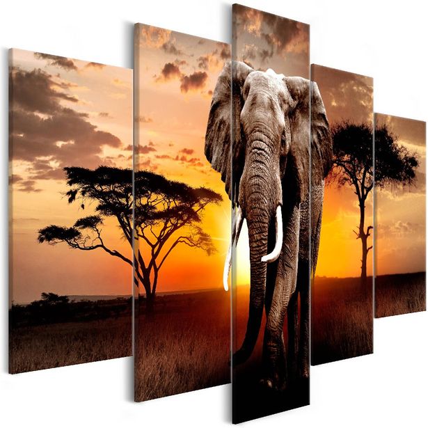 Taulu Artgeist Wandering Elephant 5-osainen leveä 100x225cm