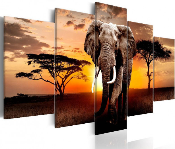 Canvas-taulu Artgeist Elephant Migration, eri kokoja