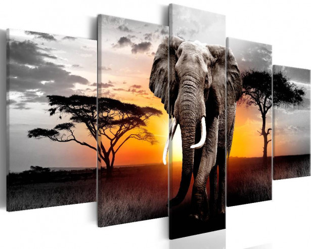 Canvas-taulu Artgeist Elephant at Sunset, eri kokoja