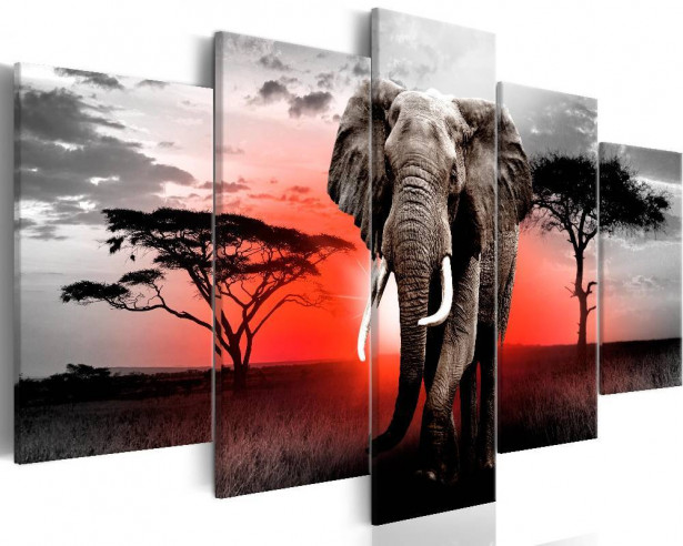 Canvas-taulu Artgeist Lonely Elephant, eri kokoja