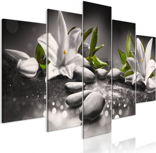 Canvas-taulu Artgeist Lilies and Stones Grey, eri kokoja