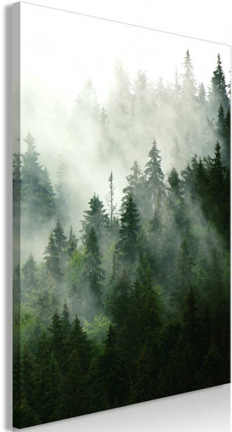 Canvas-taulu Artgeist Coniferous Forest, eri kokoja