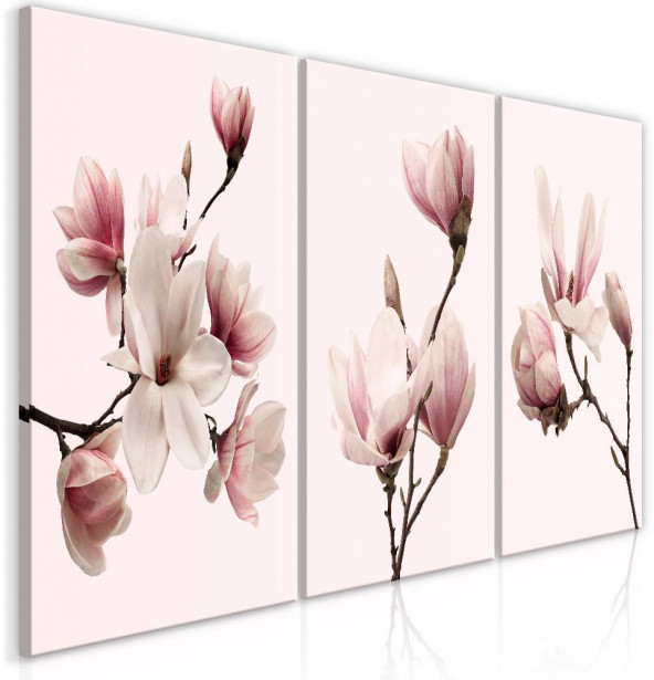 Taulu Artgeist Spring Magnolias, 120x60cm