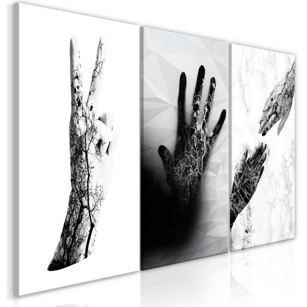 Taulu Artgeist Female Hands 3-osainen 60x120cm