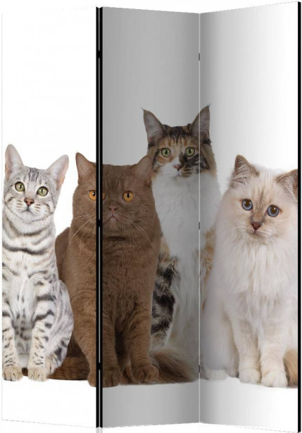 Sermi Artgeist Sweet Cats, 135x172cm