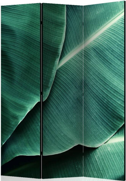 Sermi Artgeist Banana Leaf, 135x172cm