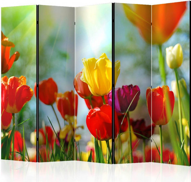 Sermi Artgeist Spring Tulips II, 225x172cm