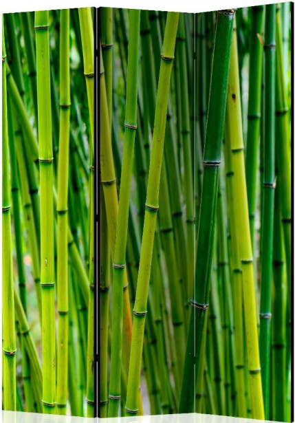 Sermi Artgeist Bamboo Forest, 135x172cm