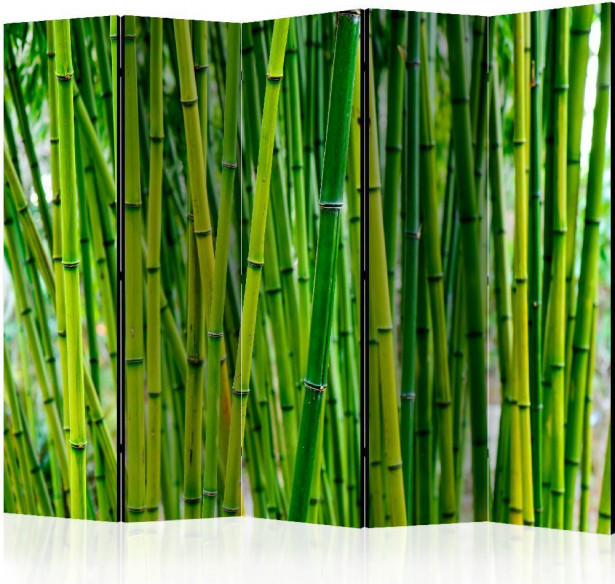 Sermi Artgeist Bamboo Forest II, 225x172cm